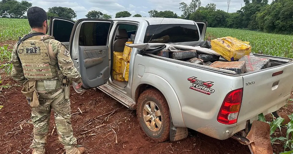 Operação apreende mais de 18,3 toneladas de drogas nas regiões de fronteira do PR e MS