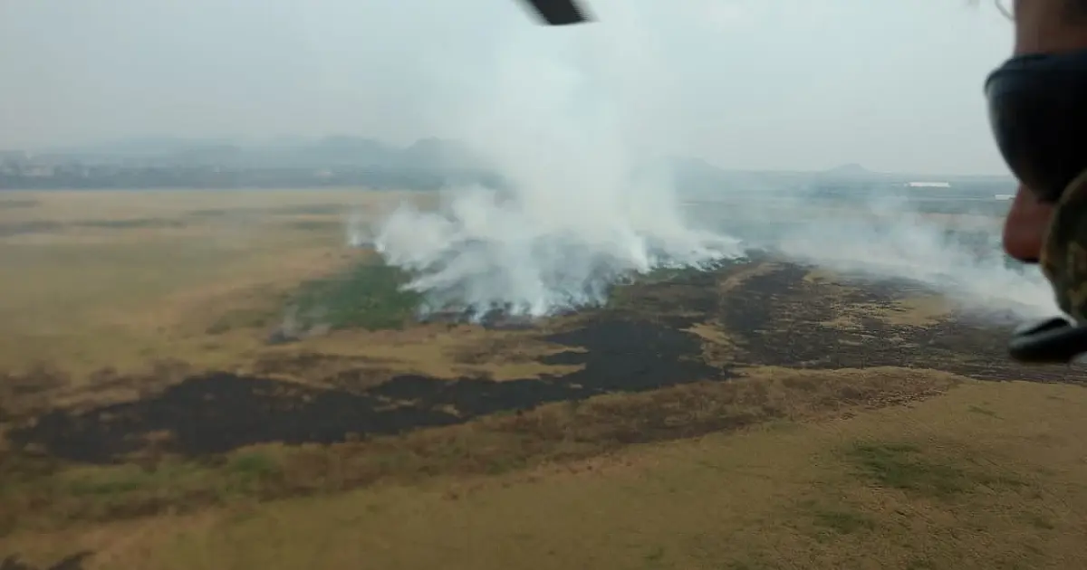 Espelhos d’água na Baía do Tamengo viram campos de vegetação seca e queimada