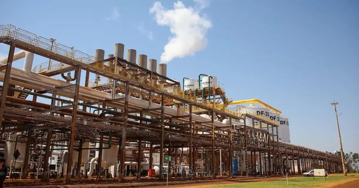 MS projeta safra recorde com 5 bi de litros de etanol e 52 mi de toneladas de cana