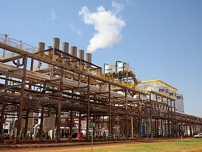 MS projeta safra recorde com 5 bi de litros de etanol e 52 mi de toneladas de cana