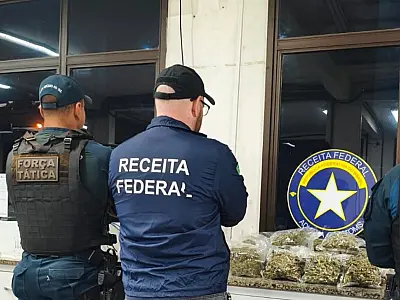 Táxi clandestino é flagrado com 9kg de skunk na fronteira