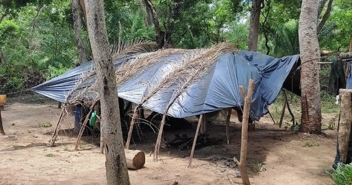 Quatro trabalhadores em condições análogas à escravidão são resgatados no Pantanal