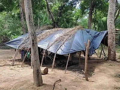 Quatro trabalhadores em condições análogas à escravidão são resgatados no Pantanal