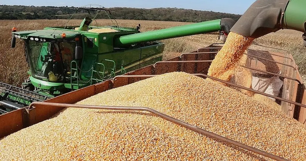 Valor Bruto da Produção Agropecuária de MS cresce 23,6% e atinge R$ 76,3 bilhões