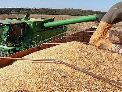 Valor Bruto da Produção Agropecuária de MS cresce 23,6% e atinge R$ 76,3 bilhões