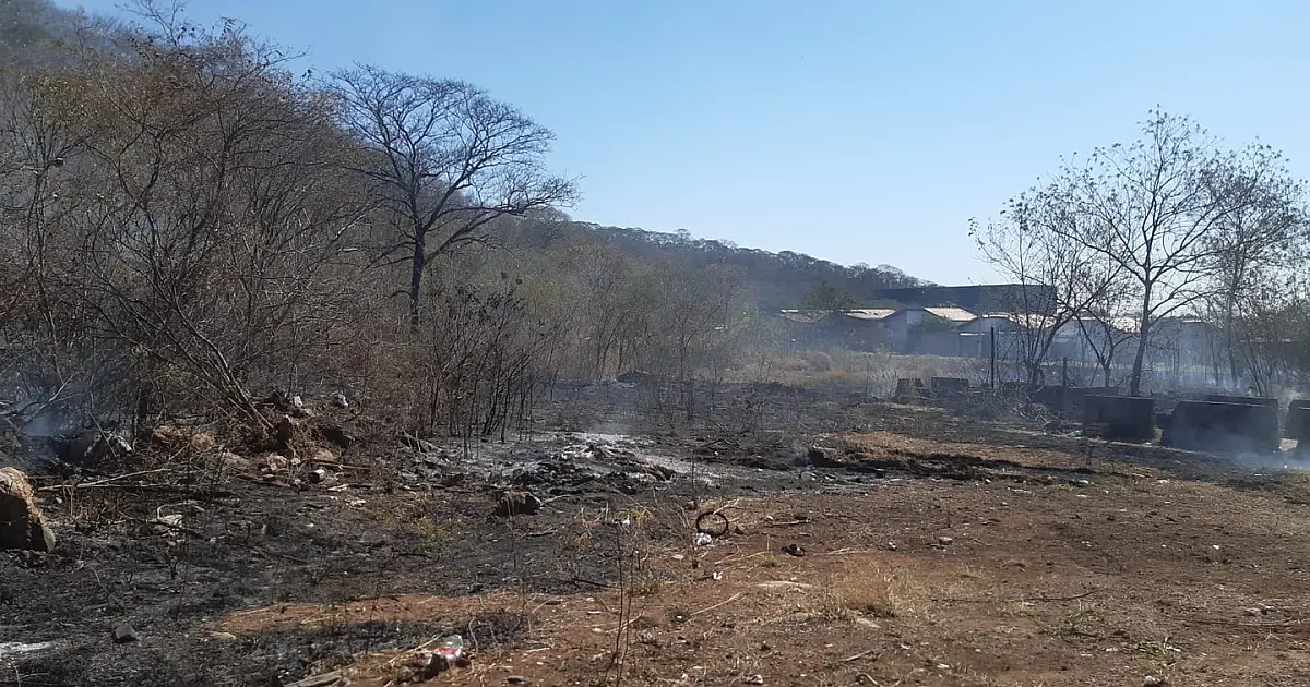Incêndio urbano atinge vegetação em morraria com difícil acesso