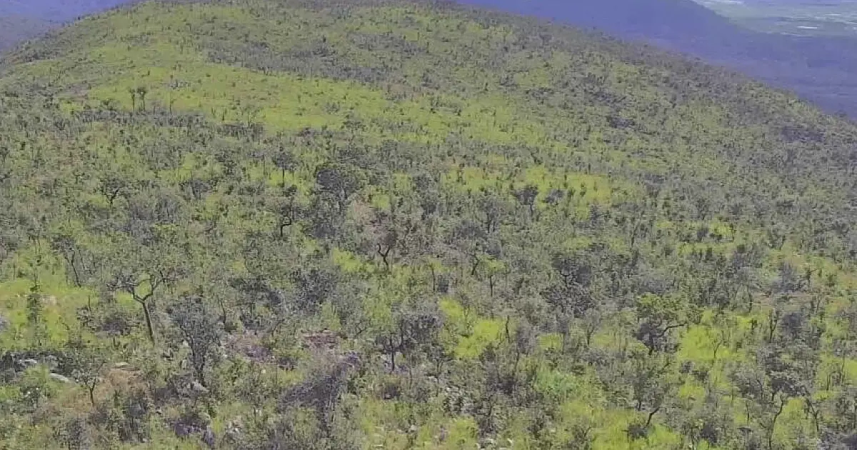 Pantanal tem redução histórica de incêndios no primeiro semestre de 2025