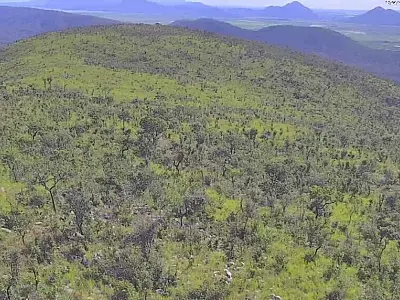 Pantanal tem redução histórica de incêndios no primeiro semestre de 2025