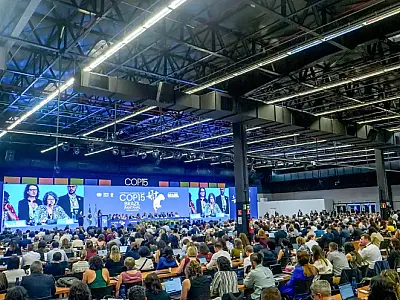 COP15 aprova maior proteção de bagres gigantes da Amazônia e ariranhas