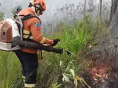 Bombeiros combatem incêndio florestal em fazendas no Carandazal