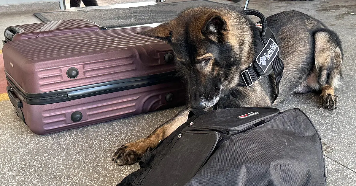 Três bolivianos são presos com 3,5 kg de cocaína na fronteira