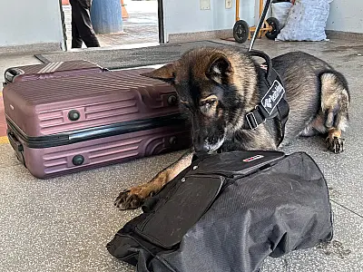 Três bolivianos são presos com 3,5 kg de cocaína na fronteira