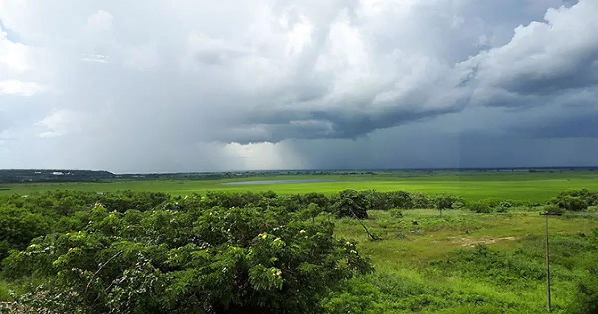 Previsão: segunda-feira com tempo nublado e chuva
