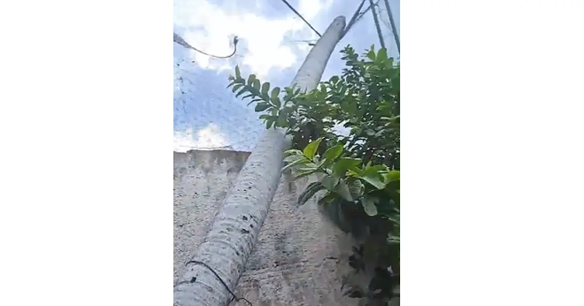 Queda de árvores mobilizam Bombeiros em Corumbá