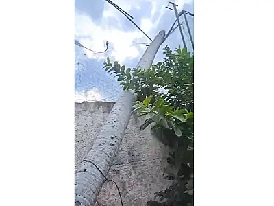 Queda de árvores mobilizam Bombeiros em Corumbá