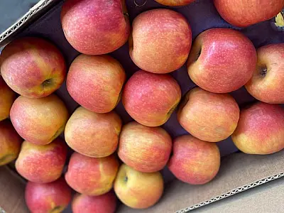 Importação de frutas e hortaliças aumenta 105% em MS