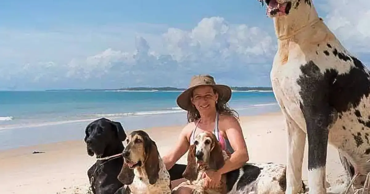 Férias chegam e trazem um dilema: viajar ou não com os pets?