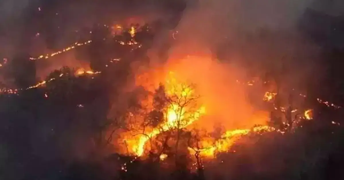 Estudo aponta MS como líder de emissões de carbono por incêndios no Brasil