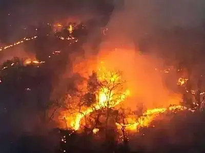 Estudo aponta MS como líder de emissões de carbono por incêndios no Brasil