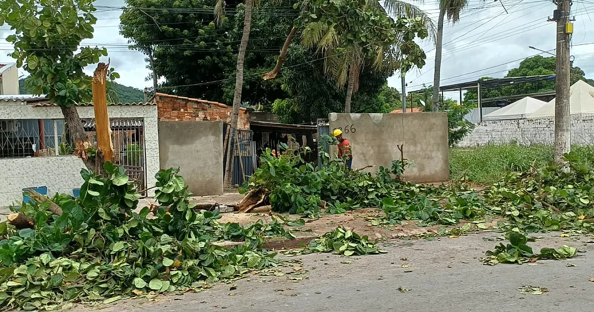 Bombeiros registram mais cinco quedas de árvore em Corumbá