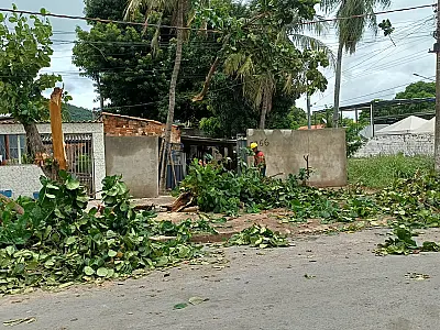 Bombeiros registram mais cinco quedas de árvore em Corumbá