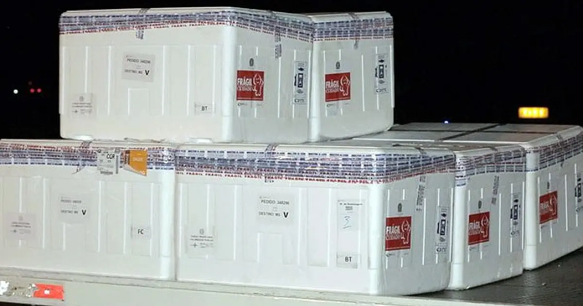 MS recebe nesta quinta remessa com doses da Pfizer e na sexta doses da Coronavac