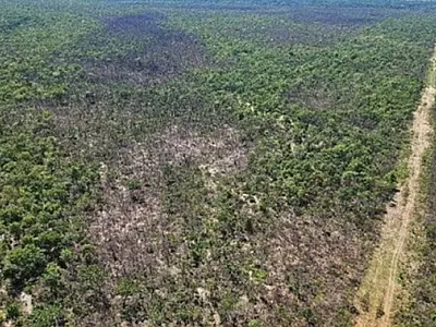 Incêndio destrói mais de 2 mil hectares e expõe fragilidade no Pantanal