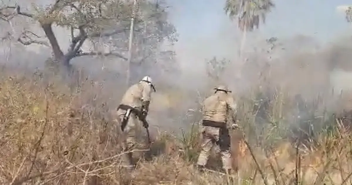 Fogo continua queimando nas regiões do Carandazal e Nhecolândia
