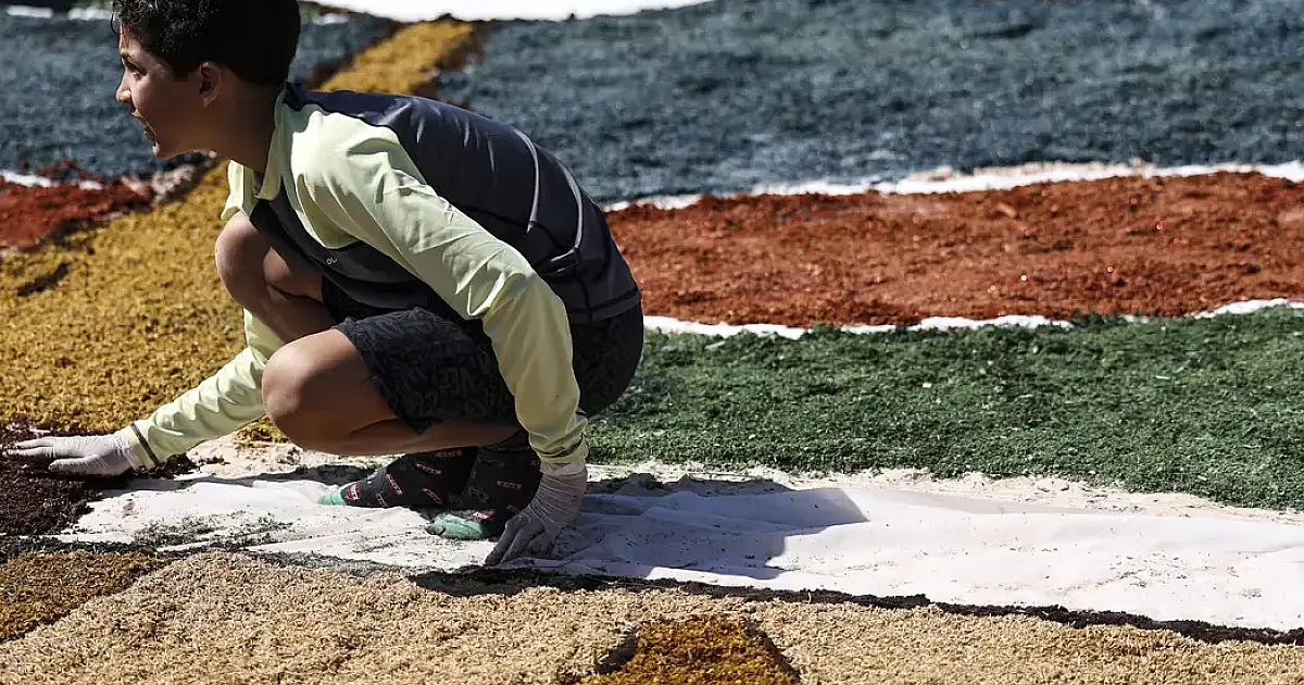 Corpus Christi: data católica não é feriado em todo o Brasil; entenda