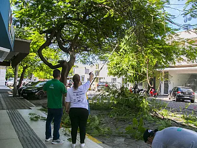 Corumbá terá Plano de Arborização para combater o calor e projetar o plantio de árvores