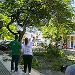 Corumbá terá Plano de Arborização para combater o calor e projetar o plantio de árvores