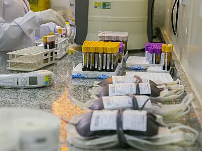 Hemosul anuncia falta de plaquetas e sangue A+ e O+