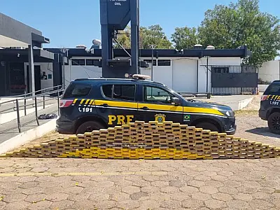PRF apreende 262 kg de cocaína em tanque de caminhão na BR-262