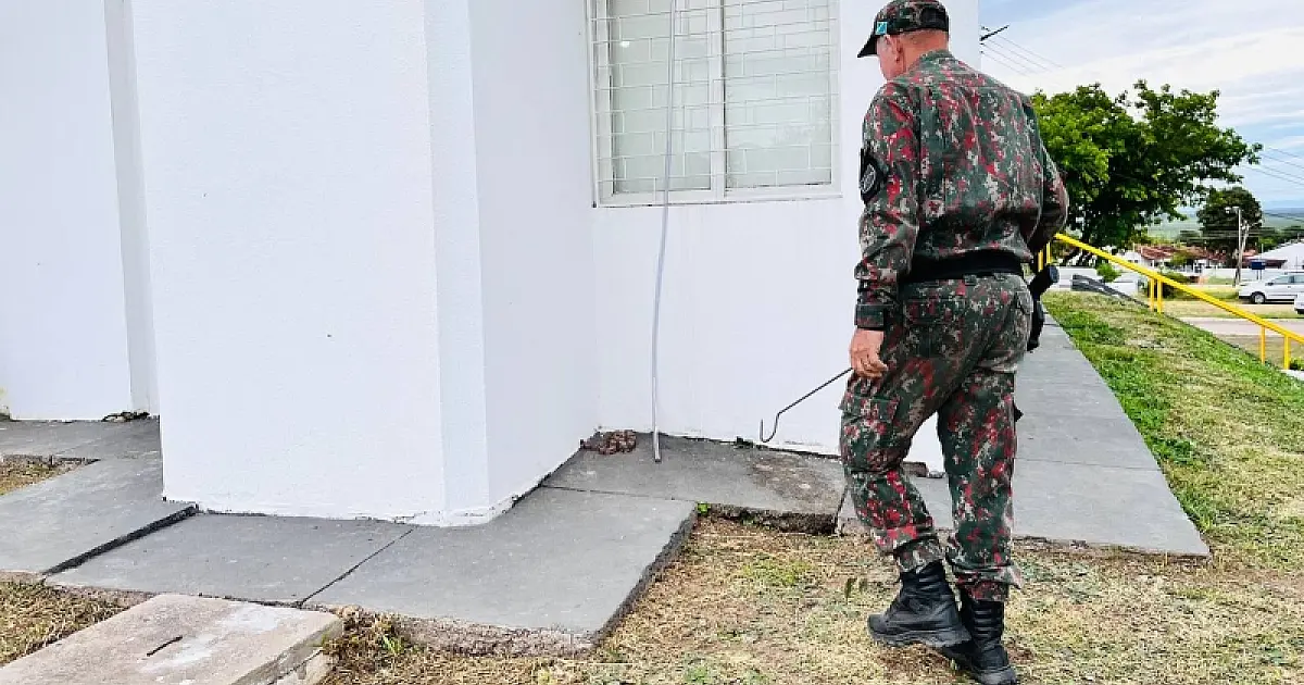 Jiboia aparece no Paço Municipal de Ladário e PMA realiza captura