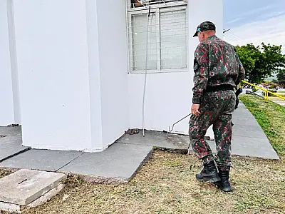 Jiboia aparece no Paço Municipal de Ladário e PMA realiza captura