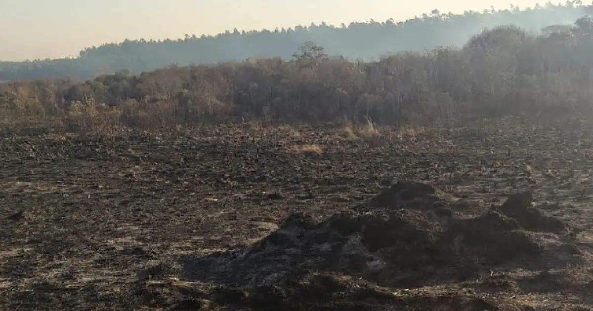 Usina é multada em quase R$ 2 milhões por incêndio em áreas protegidas por lei