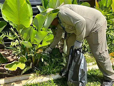 MS intensifica combate ao Aedes aegypti com ações integradas em 2026