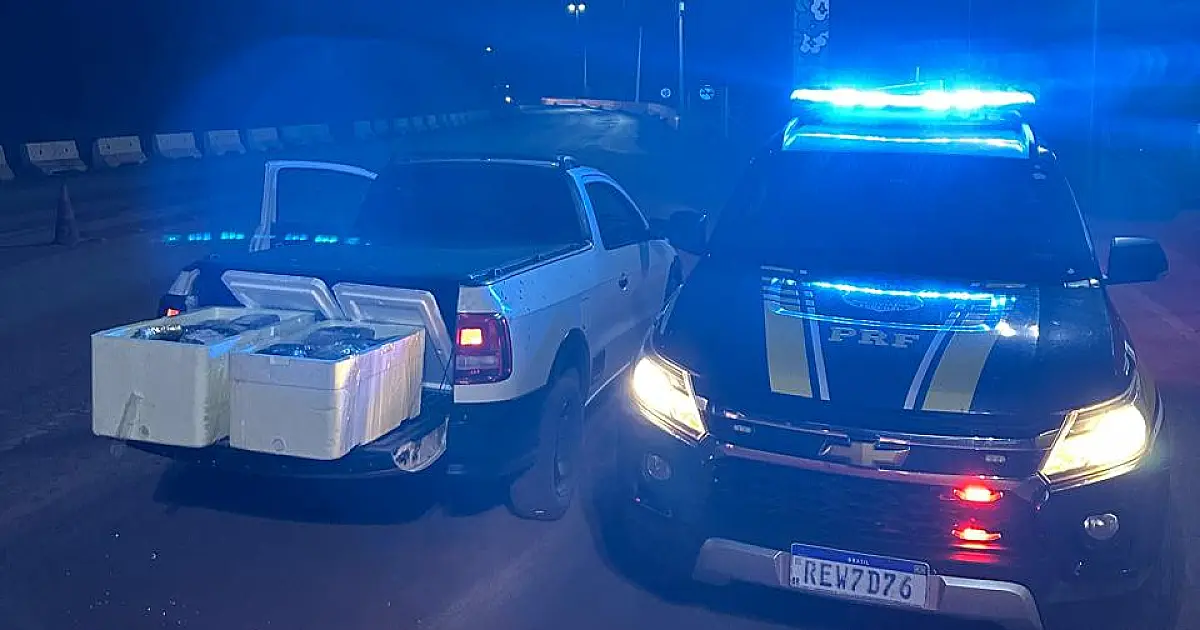 Homem é flagrado com 33 kg de skunk escondidos em caixas de isopor