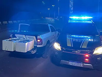 Homem é flagrado com 33 kg de skunk escondidos em caixas de isopor