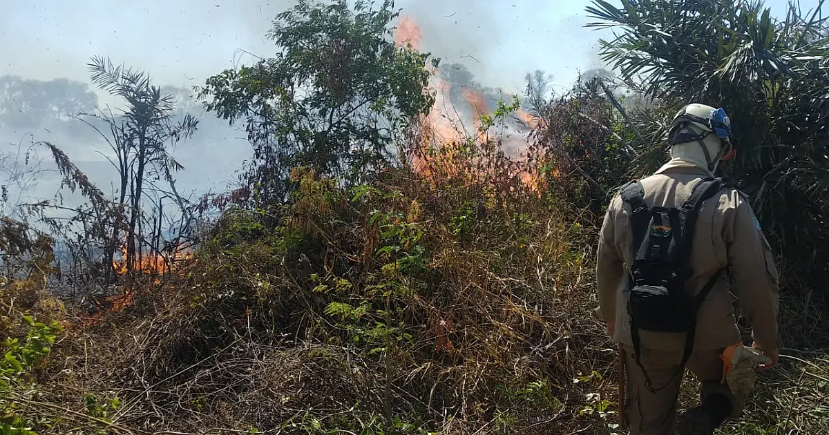 60 dias de operação: fogo ainda queima em pelo menos três regiões do Pantanal