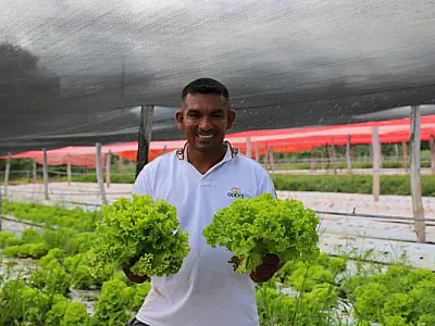 Sistema de irrigação aumentou produção e trouxe estabilidade para horticultor do Taquaral