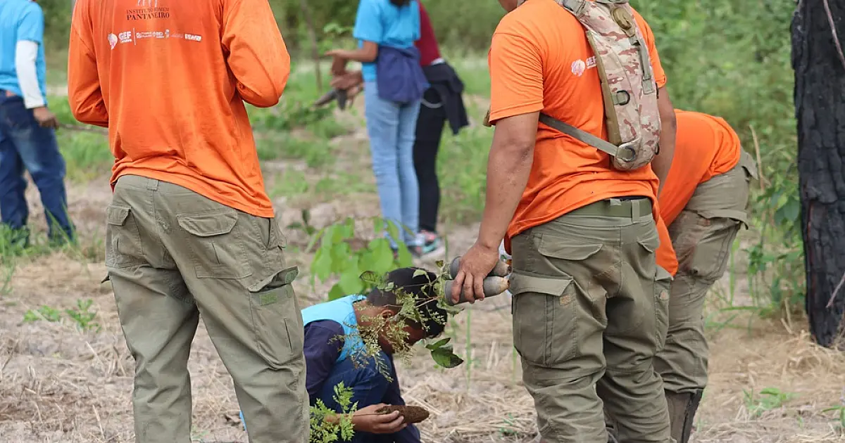 Fórum pré-COP30 em MS reúne autoridades e empresários para discutir economia sustentável