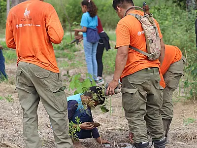 Fórum pré-COP30 em MS reúne autoridades e empresários para discutir economia sustentável