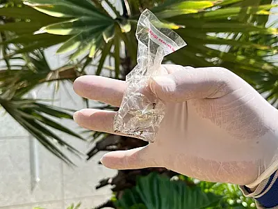 MS registra 14 casos confirmados de dengue