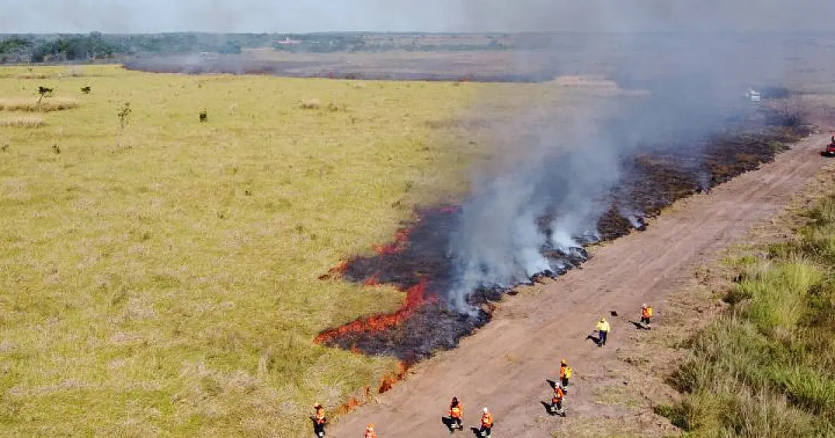 Governo de MS moderniza controle de queimadas e fortalece prevenção a incêndios florestais