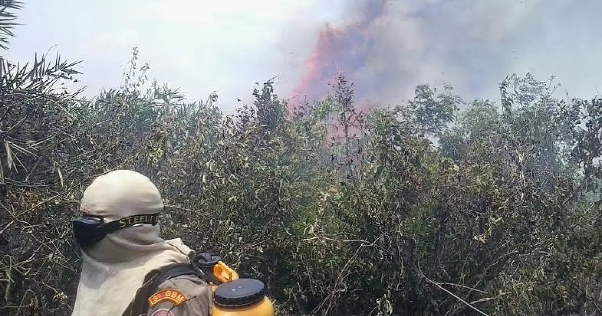 "Combate aéreo é imprescindível para conter incêndio no Pantanal", afirma Bombeiro