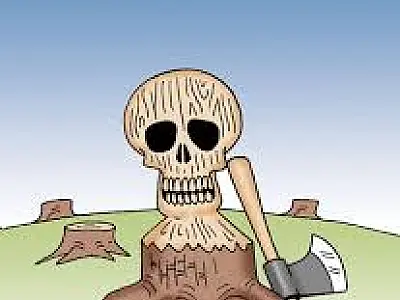 A história não mente