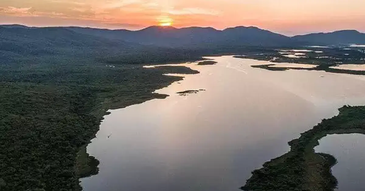 Pantanal é destaque em campanha global lançada pela National Geographic