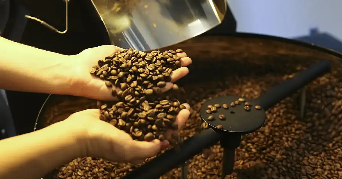 EUA reduzem tarifas para café, laranja, carne bovina e outros produtos