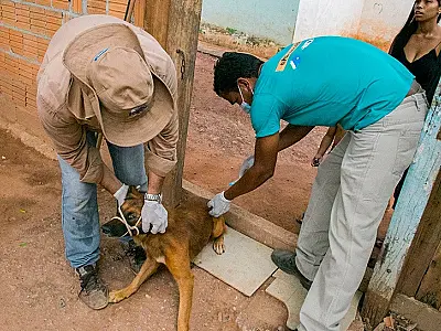 Corumbá participa da campanha binacional de vacinação antirrábica na Bolívia
